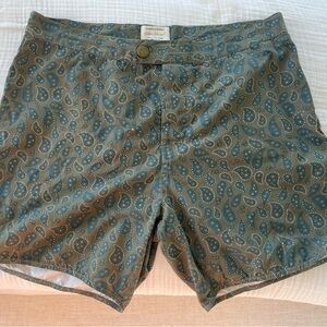 RVCA Paisley Print Shorts in Green